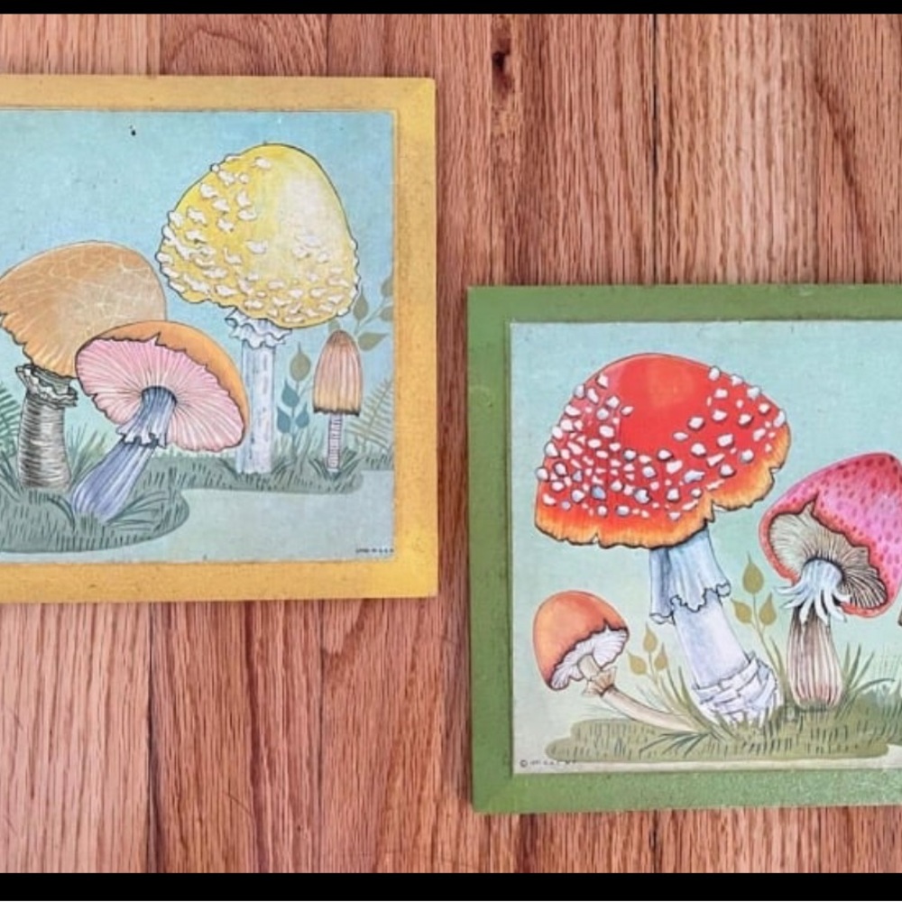 Mushroom Lithograph Wall Art Plaques Retro Vintage 1971